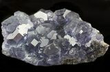 Blue Octahedral Fluorite Crystals - China #46308-1